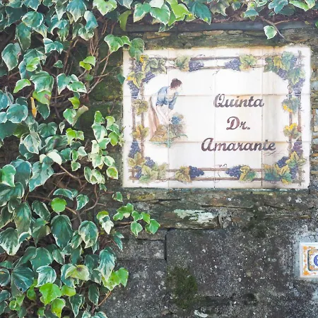 乡村民宿 Quinta Drº Amarante 贡多马尔