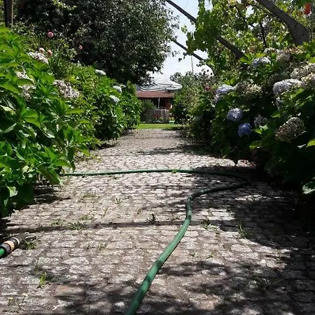 Quinta Drº Amarante Hétvégi ház *