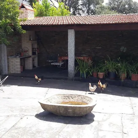 Quinta Drº Amarante