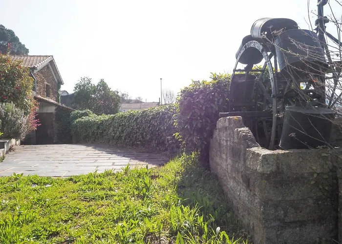 Quinta Drº Amarante *