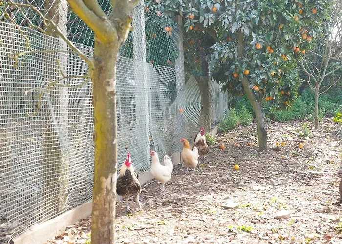 Quinta Drº Amarante 컨트리하우스 곤도마르