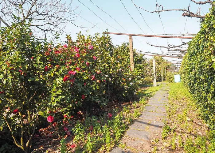 컨트리하우스 Quinta Drº Amarante 곤도마르