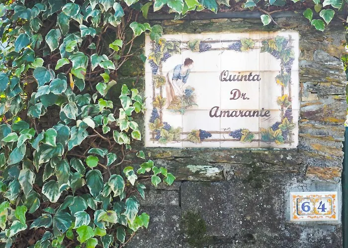 컨트리하우스 Quinta Drº Amarante 곤도마르