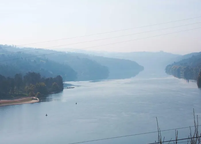 Quinta Drº Amarante 곤도마르