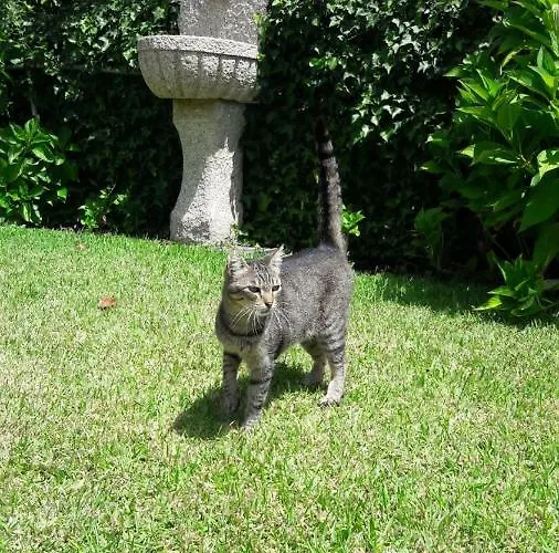 컨트리하우스 Quinta Drº Amarante