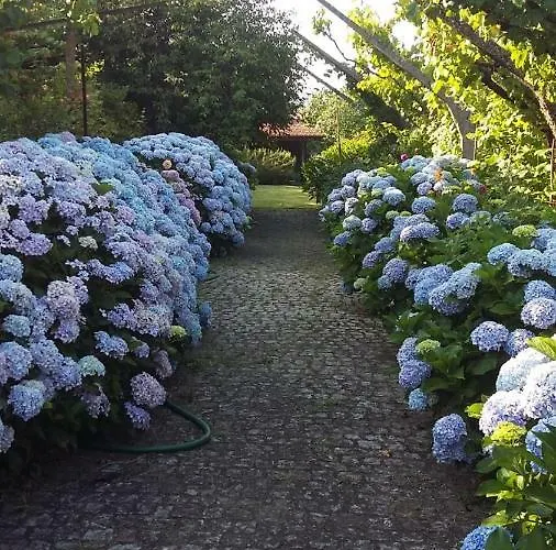 컨트리하우스 Quinta Drº Amarante *